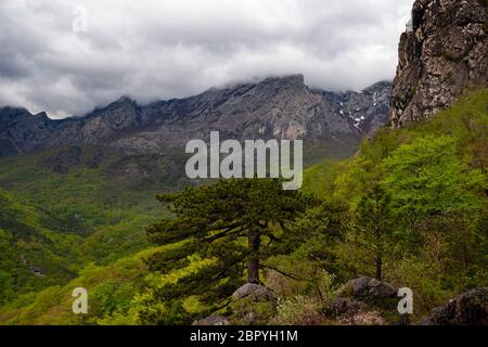 Regenwolke und Nebel auf den felsigen Gipfeln und Wald im Nationalpark Paklenica, Kroatien Stockfoto