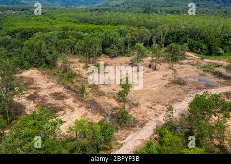 Luftaufnahme von Drohnen von Holzfällern und aktiver Entwaldung eines tropischen Regenwaldes, der zur Zerstörung von Lebensräumen und zum vom Menschen geschahen Klima beiträgt Stockfoto