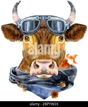 Bull Aquarell-Grafiken. Bulle mit Biker Sonnenbrille und Taschentuch Tier Illustration mit Spritzwasser-Farbe texturierten Hintergrund. Stockfoto