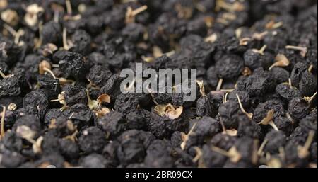 Lycium ruthenicum trocken Stockfoto