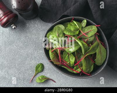 Frischer Salat von grünen Mangold Blätter oder Mangold am grauen Stein Hintergrund. Flach oder Draufsicht frische Baby Rüben Blätter im Handwerk Keramik Schüssel. Stockfoto