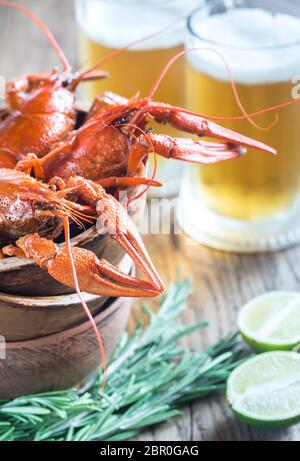 Schale gekochte Flusskrebse mit zwei Becher Bier Stockfoto
