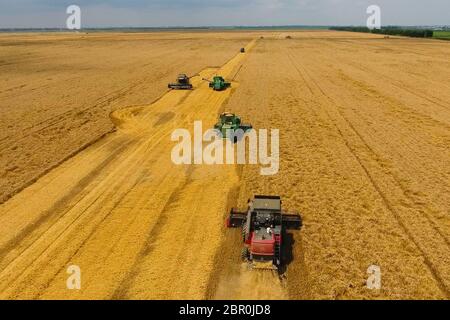 Krasnodar, Russland - 22 Juli 2017: Ernte von Weizen Harvester. Landwirtschaftliche Maschinen, die Ernte auf dem Feld. Landwirtschaftliche Maschinen in Betrieb. Stockfoto