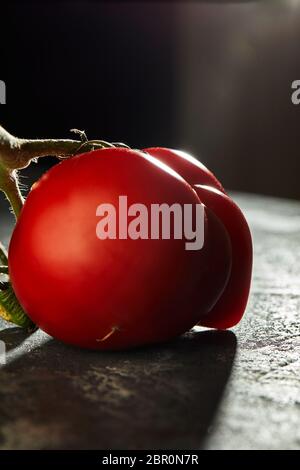 Hässliches Obst oder Gemüse. Stark fehlgeformte Mutante Tomate
