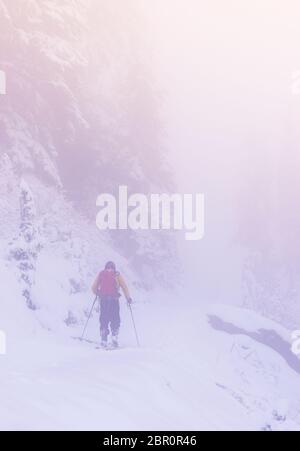 Ein Mann im Schneewald mit Nebel im Mt Raenier Nationalpark, Washington, usa. Stockfoto