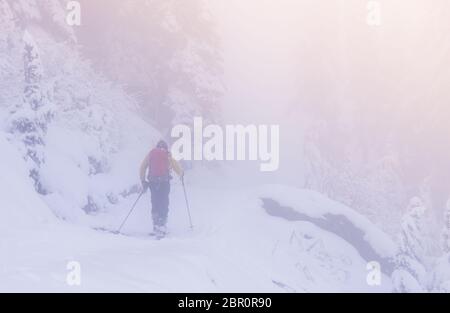 Ein Mann im Schneewald mit Nebel im Mt Raenier Nationalpark, Washington, usa. Stockfoto