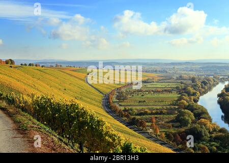 Volkach ist ein sehr bekanntes Weinanbaugebiet in Deutschland, Bayern, Franken Stockfoto