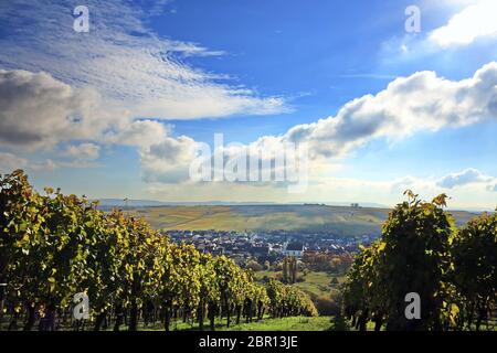 Volkach ist ein sehr bekanntes Weinanbaugebiet in Deutschland, Bayern, Franken Stockfoto