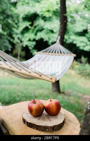 Cradle net im Hinterhof am Wald Stockfoto