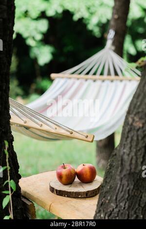 Cradle net im Hinterhof am Wald Stockfoto