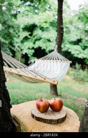 Cradle net im Hinterhof am Wald Stockfoto