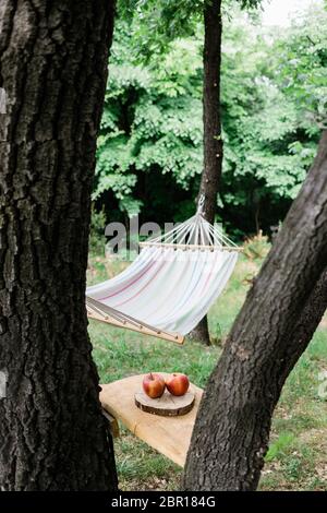 Cradle net im Hinterhof am Wald Stockfoto