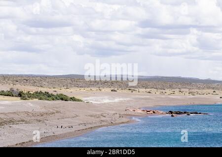 Punta Tombo Strand Tag anzuzeigen, Patagonien, Argentinien Stockfoto