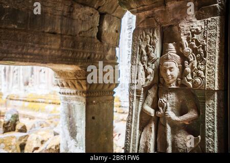 Schnitzereien auf den Ruinen des Ta Prohm Tempels. Angkor, UNESCO-Weltkulturerbe, Provinz Siem Reap, Kambodscha, Südostasien Stockfoto