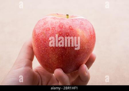 Zurück zum Thema Schule mit einem roten Apfel Stockfoto