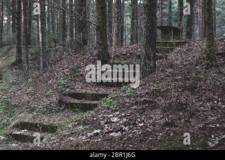 Eine verlassene Treppe im Wald führt zu einer Bank auf einem Hügel. Die Treppe ist mit Blättern übersät. Um die Bäume herum. Horizontal. Stockfoto