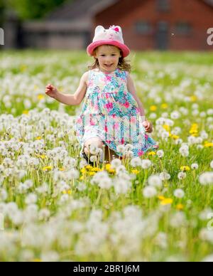 Paisley, Schottland, Großbritannien. Mai 2020. Maggie McNulty, 3, aus Kilbarchan in Renfrewshire spielt Löwenzahn auf den St James Playing Fields, Paisley, Renfrewshire an dem wärmsten Tag des Jahres bisher. Die normalerweise St James Fußballfelder sind sorgfältig von Bodenpersonal gemäht, aber mit Löwenzahn und langem Gras seit der Sperrung des Coronavirus überwuchert. Quelle: Chris McNulty/Alamy Live News Stockfoto