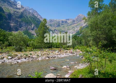 Río Cinca. Pineta Tal, Ordesa y Monte Perdido Nationalpark, Provinz Huesca, Aragón, Spanien. Stockfoto