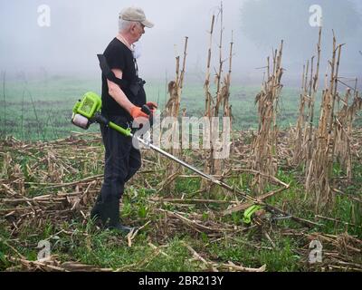 Rasenmähen mit altem Benzinrasenmäher. Saisonale Gartenreinigung mit Rasenmäher-Konzept Stockfoto