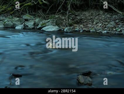 Zeit der Exposition der Fluss namens Orke im Tal Orketal Stockfoto