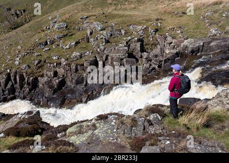 Walker genießen die Aussicht auf den Fluss Tees, der über die Cauldron Snout vom Pennine Way, Upper Teesdale, Grafschaft Durham, Großbritannien fließt Stockfoto