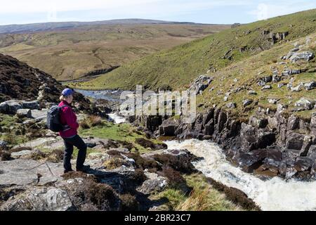 Walker genießen die Aussicht auf den Fluss Tees, der über die Cauldron Snout vom Pennine Way, Upper Teesdale, Grafschaft Durham, Großbritannien fließt Stockfoto