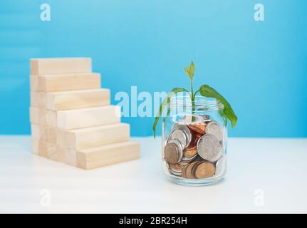 Sprießen Sie in einem Glasgefäß. Wirtschaftliche Entwicklung, Investitionen in Unternehmen Stockfoto