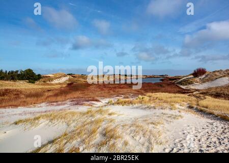 Schönen weißen Sanddünen mit rot und beige marram Gras unter strahlendem Sonnenschein, blauer Himmel und Spärlichem grauen Wolken Stockfoto