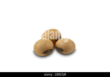 Sojabohnen auf weißem Hintergrund mit Schnittpfad. Sojabohne oder Glycine max ist eine Art von Hülsenfrüchte aus Ostasien. Stockfoto