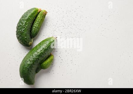 Hässliche zwei Gurken. Konzept Bio-Gemüse. Platz für Text. Stockfoto