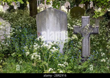 Grabstein auf dem Brompton Cemetery, Old Brompton Road, London, Großbritannien; einer der herrlichen Seven London Friedhöfe Stockfoto