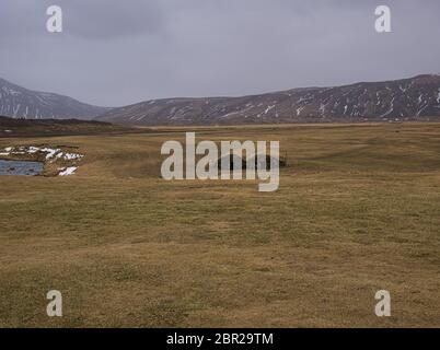 Zwei freistehenden Torf Häuser in einer Wiese in Island Stockfoto