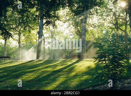 El Retiro Park. Madrid, Spanien. Stockfoto