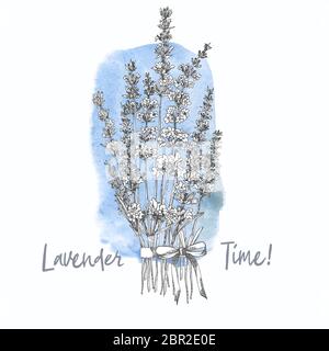 Bouquet von Hand gezeichnete Skizze von Lavendel Blume und niedlichen Schleifchen auf weißem Hintergrund. Frankreich Provence retro Muster für romantische frisches Design Stock Vektor