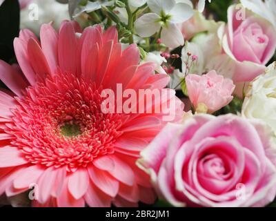 Gerbera Daisy Gemischter Bouquet Stockfoto