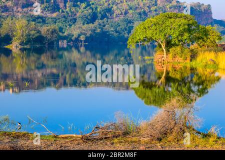 Innenansicht des Ranthambore Nationalpark, Indien Asien. Extreme Gefahr Lage von Wald für Abenteuer tour als Pro Touristische Gruppe auf Dschungel Safari. Es i Stockfoto