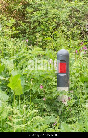 Masse von Straßenrand Unkraut verschlingen reflektierende Marker in Gras Rand der Landstraße Metapher überwuchert, überschwemmt, Unkraut, auf allen Seiten umgeben Stockfoto