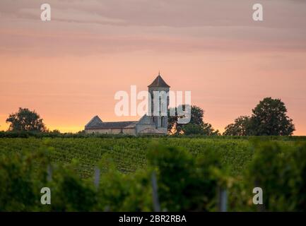 Sonnenuntergang über den Weinbergen von Montagne in der Nähe von Saint Emilion. Gironde, Aquitaine. Frankreich Stockfoto