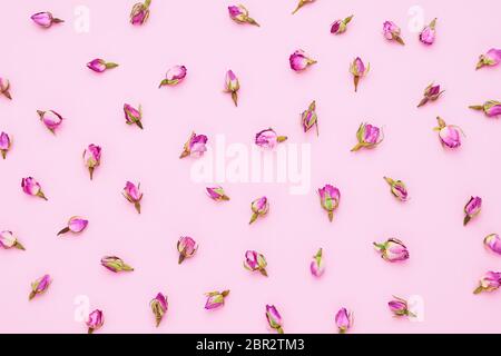 Getrocknete rosa Rosen für asiatischen Tee auf einem rosa Hintergrund. Draufsicht. Blumen Hintergrund. Stockfoto