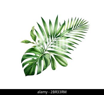 Aquarell tropisches Bouquet. Arrangement mit Dschungelgrün. Exotische Palmenblätter, Monstera, isoliert auf weiß. Handgezeichnete botanische Illustration Stockfoto