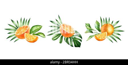 Aquarell orange Früchte. Set mit drei Arrangements. Tropische Blumensträuße mit Früchten und Palmblättern. Botanische handgezeichnete Illustration isoliert auf Stockfoto