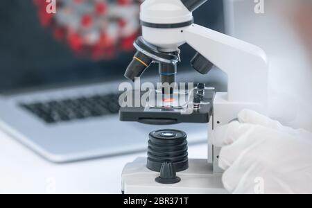 Nahaufnahme. Wissenschaftler arbeiten an einem Impfstoff gegen Coronavirus. Stockfoto