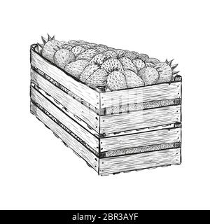 Erdbeerbeeren in zwei Holzkisten aufeinander. Vektorgrafik im Skizzenstil isoliert auf weiß. Stock Vektor