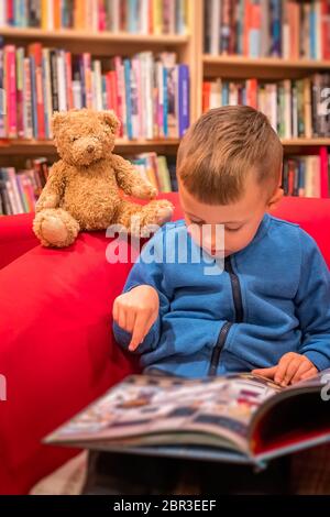 Süße kleine Kaukasischen Jungen in einem Stuhl sitzend mit seiner bevorzugten weichen Teddybären Spielzeug und Durchsuchen Buch in einem kleinen Buchladen Stockfoto