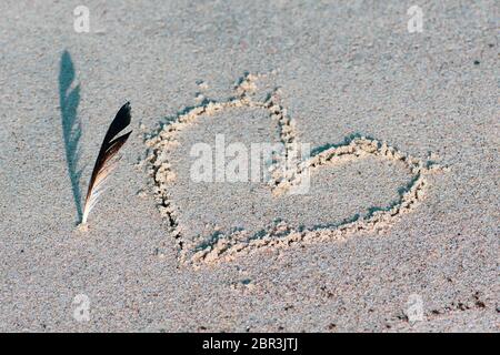 Herz auf den Sand mit Möwenfeder gezogen. Liebe, Sommer und Urlaub Konzept Stockfoto
