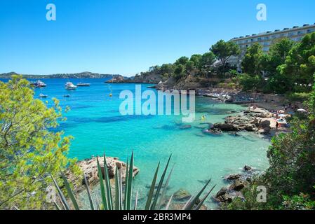 Cala Fornells, Paguera, Mallorca, Balearen, Spanien Stockfoto