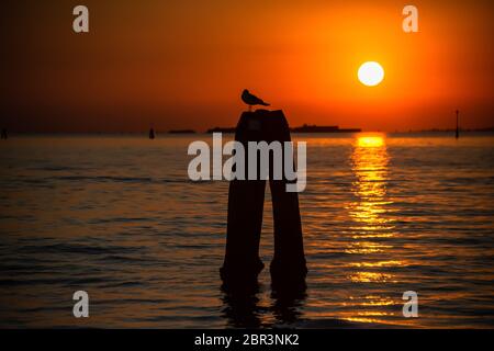 Atemberaubender Sonnenuntergang über der Lagune von venedig Stockfoto