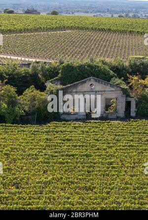 Berühmten französischen Weinberge bei Saint Emilion Stadt in der Nähe von Bordeaux, Frankreich. St Emilion ist einer der wichtigsten Bereiche der Rotwein Bordeaux und sehr beliebt Stockfoto