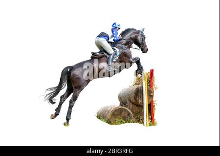 Vielseitigkeitsreiten: Reiter springt über ein Pinselzaunhindernis Stockfoto