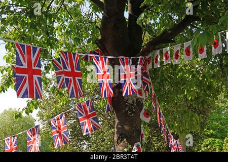 Union-Flagge und Mohnfahne hängen im Schatten eines Baumes auf einem Dorfgrün in Großbritannien Stockfoto